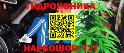 прущие крисы Нягань