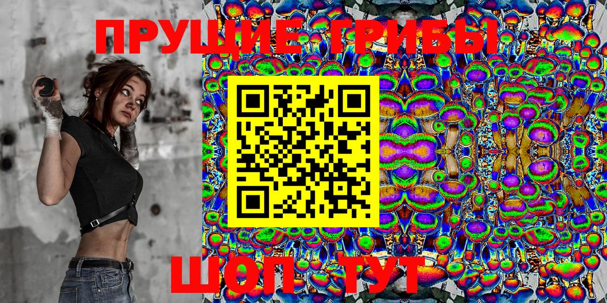 Галлюциногенные грибы Cubensis Таганрог